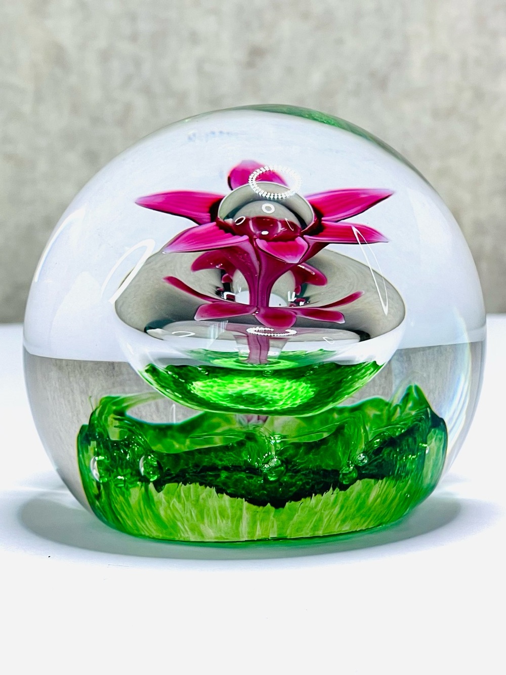 Caithness Hydroponic Botanical Flower Paperweight Gift Box Stand Certificate